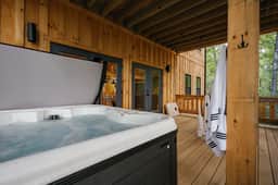 Sauna, Spa, Game Room, EV Charger + Playground! - Image 3