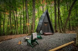 Sauna + Shower, Spa, Firepit, Gym, BBQ +EV Charger - Image 2